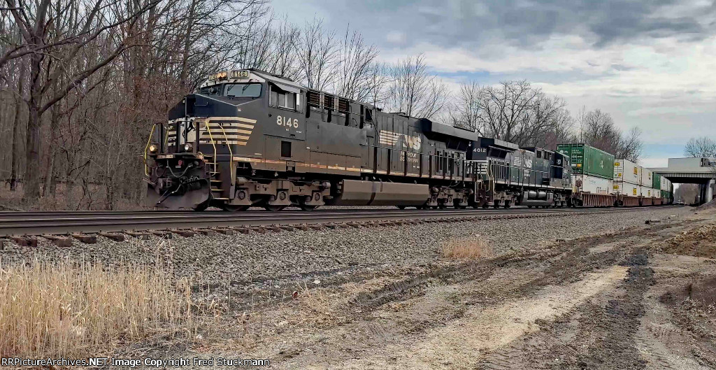 NS 8146 leads 23G.